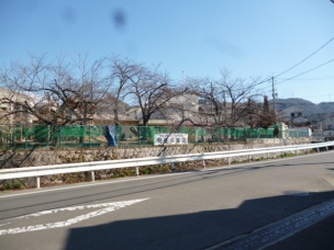 【幼稚園・保育園】明星保育園 348m 周辺環境