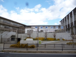【小学校】宇治市立宇治小学校 531m 周辺環境